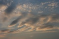 04007 021a.jpg